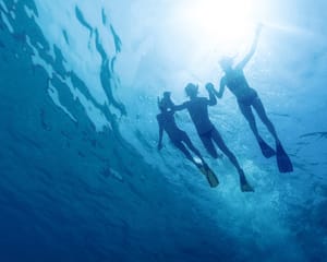 Sail and Snorkel Morning Tour, Oahu - 3 Hours