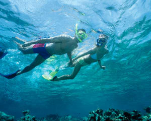 Signature Cancun Snorkel Tour, Mexico - 2 Hours