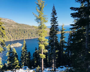 Sky Combat Dogfighting Experience, Lake Tahoe - 50 Minutes