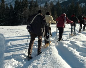 Snowshoe Tour Big Bear Lake - 3 Hours