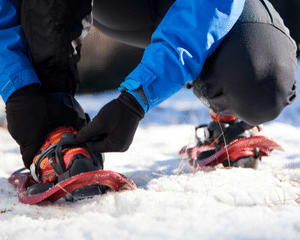 Snow Day of Play Snowmobile and Snowshoe Adventure, Alaska - 6 Hours