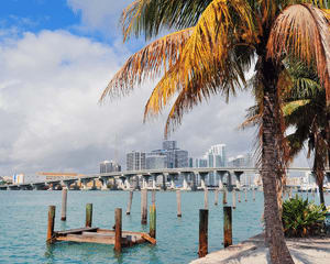 South Beach Millionaire Homes & Venetian Islands Cruise - 90 Minutes