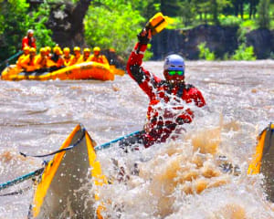 Whitewater Rafting Jackson Hole, Snake River - 3 Hour Classic Raft