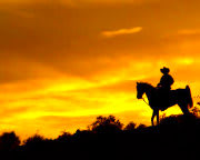 Wild West Horseback Riding Las Vegas - Sunset Dinner Ride