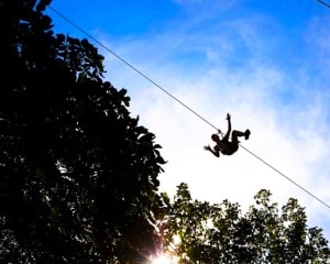 Zipline Treetop Adventure Chicago, Western Springs - 3 Hours