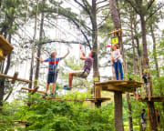 Zipline Treetop Adventure, Kansas City - 3 Hours