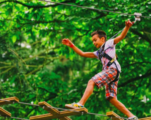 Zipline Treetop Adventure, Plano - 3 Hours