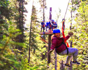 Ziplining Denali, 7 Zip Adventure - 3 Hours (Denali Shuttle Available!)