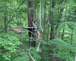 Beginner Zipline and Aerial Course Adventure Cleveland, Strongsville - 1 Hour