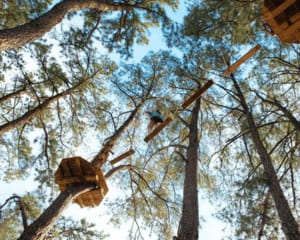 Beginner Zipline and Aerial Course Adventure, Memphis - 1 Hour