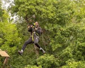 Beginner Zipline and Aerial Course Adventure, Arlington - 1 Hour