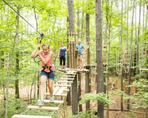 Zipline Treetop Adventure, Arlington - 3 Hours