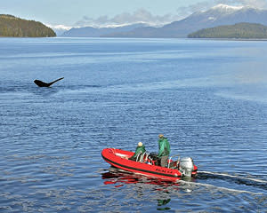 Zodiac Boat Scenic Tour Ketchikan - 1.5 Hours